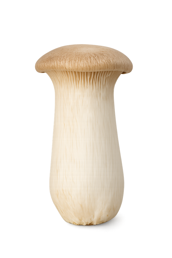 King Oyster mushroom cluster